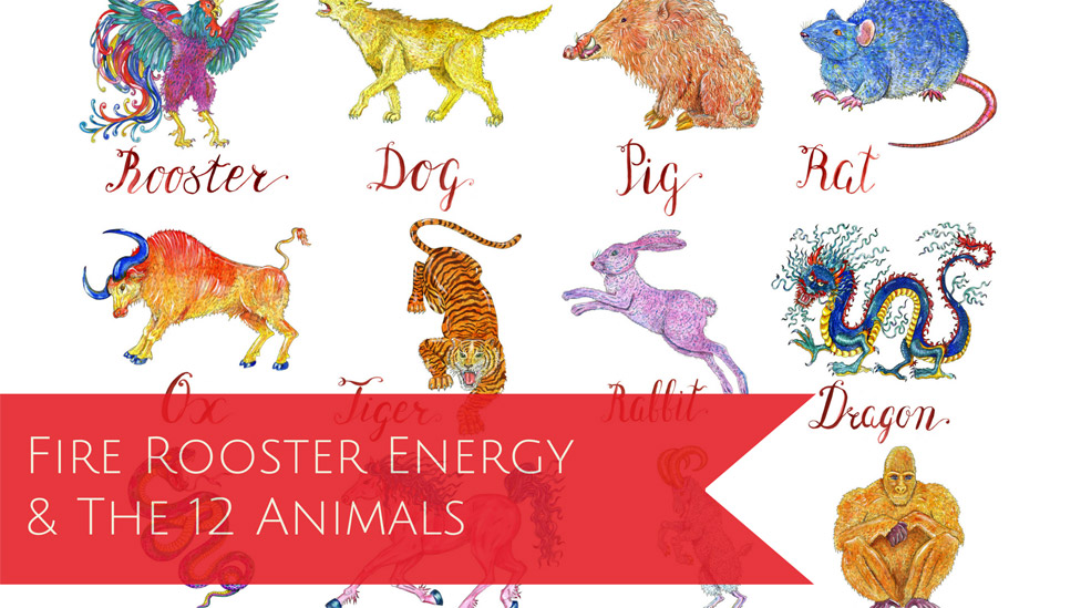The Year of the Fire Rooster: A quick guide on how to use the energy of the new year