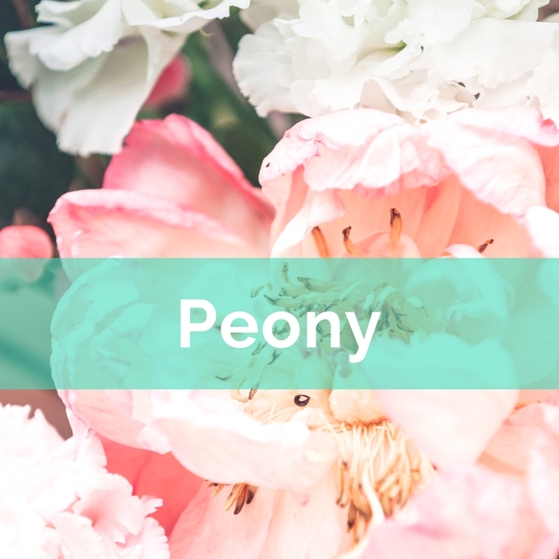 Peony